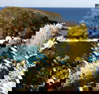 Green Island Walking Track - Accommodation Fremantle