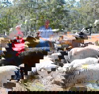Haigslea EWE Nique Hobby Farm - Accommodation Fremantle