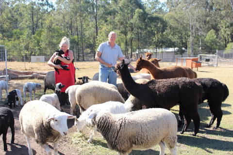 Haigslea EWE Nique Hobby Farm - Accommodation Fremantle 0