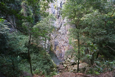 Kondalilla Falls Circuit, Kondalilla National Park - Accommodation Fremantle 0