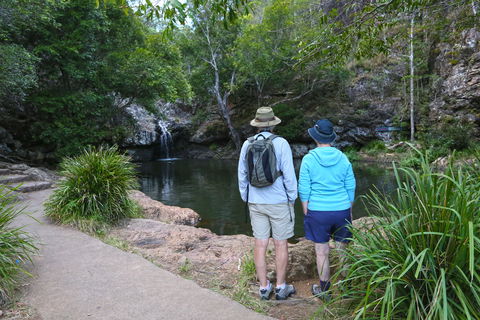 Kondalilla Falls Circuit, Kondalilla National Park - Accommodation Fremantle 1