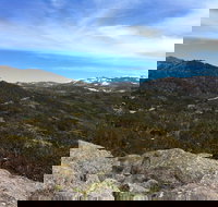 Kosciuszko National Park Charlottes Pass to Snowy River - Accommodation Fremantle