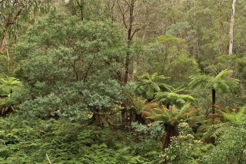 Lind National Park - Accommodation Fremantle 0