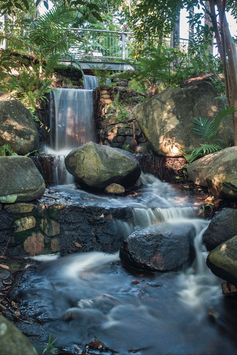 Mackay Regional Botanic Gardens - Accommodation Fremantle 0