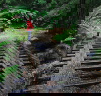 Montezuma Falls - Accommodation Fremantle