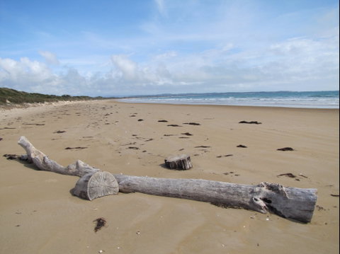 Narawntapu National Park - Accommodation Fremantle 2
