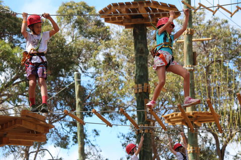 Next Level Monkey Business - Accommodation Fremantle 0