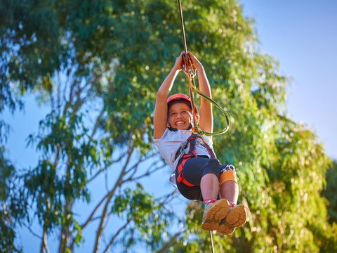Next Level Monkey Business - Accommodation Fremantle 2