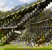 Noojee Trestle Bridge - Accommodation Fremantle