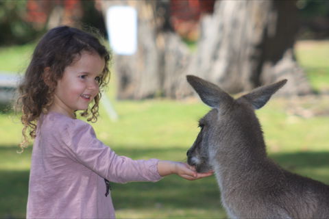 Potoroo Palace Native Animal Sanctuary - Accommodation Fremantle 1