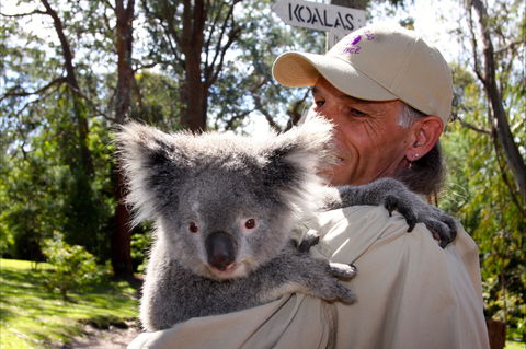 Potoroo Palace Native Animal Sanctuary - Accommodation Fremantle 2