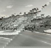 Rockhampton Bull Statues - Accommodation Fremantle