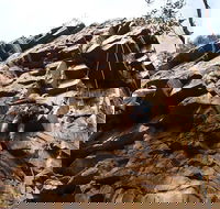 Rock Climbing in Morialta - Accommodation Fremantle