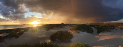 Shelly Beach Dune Walk Trail - Accommodation Fremantle 2