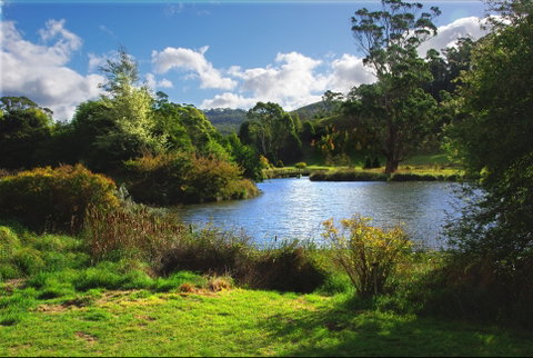Tasmanian Arboretum Inc. - The - Accommodation Fremantle 0