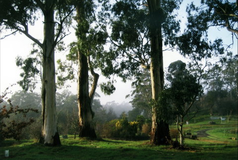 Tasmanian Arboretum Inc. - The - Accommodation Fremantle 1