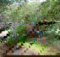 TreeTop Challenge - Accommodation Fremantle