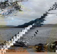 Walpole-Nornalup Inlet - Accommodation Fremantle