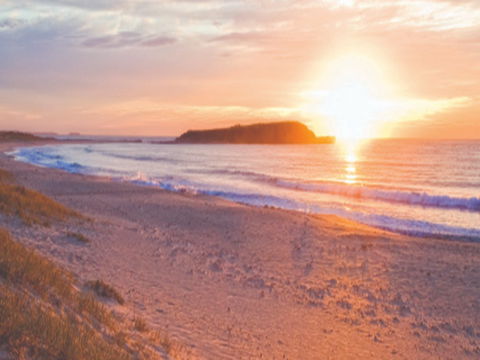 Warilla Beach: Shellharbour - Accommodation Fremantle 0