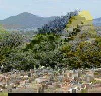 Yackandandah Cemetery - Accommodation Fremantle
