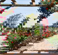 Australian Inland Botanic Gardens - Accommodation Fremantle