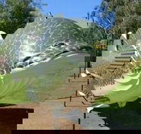 Big Murray Cod - Accommodation Fremantle