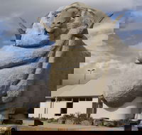 Big Merino - Accommodation Fremantle