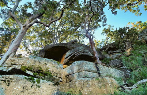 Burrawang Reach Picnic Area - Accommodation Fremantle 0