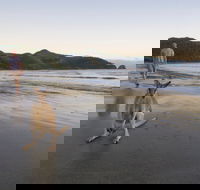 Cape Hillsborough National Park - Accommodation Fremantle