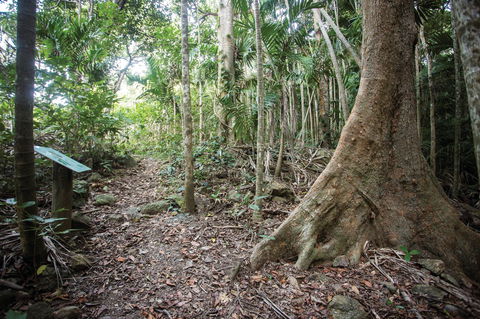 Cape Hillsborough National Park - Accommodation Fremantle 2