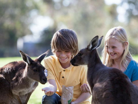 Cleland Wildlife Park - Accommodation Fremantle 1