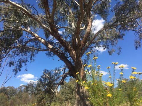 Euroa Arboretum - Accommodation Fremantle 0