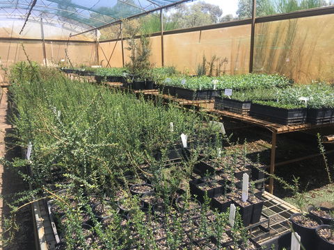 Euroa Arboretum - Accommodation Fremantle 1