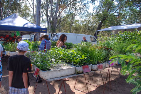 Fernvale Country Markets - Accommodation Fremantle 0