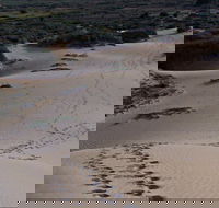 Foreshore Walk Mungo National Park - Accommodation Fremantle