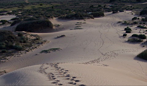 Foreshore Walk, Mungo National Park - Accommodation Fremantle 0