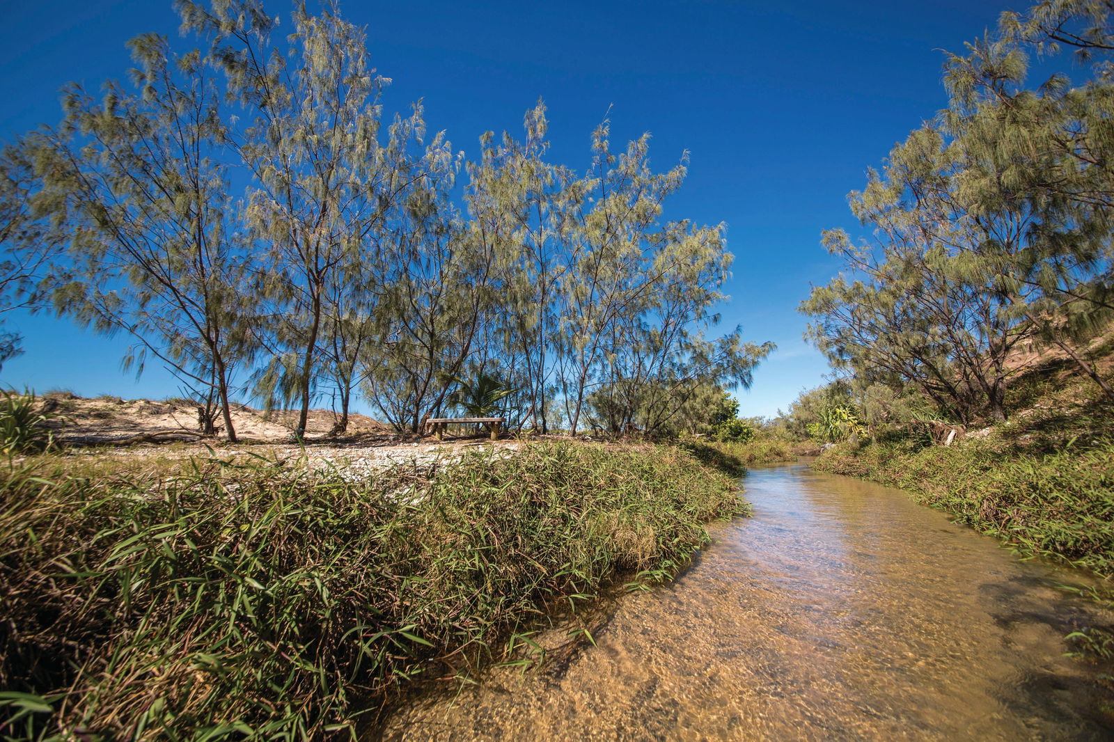 Farnborough QLD Accommodation Fremantle