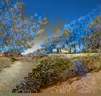 Freshwater Creek Track Byfield National Park - Accommodation Fremantle