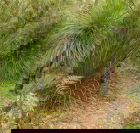 Grass Tree Circuit - Accommodation Fremantle