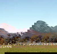 Grampians - Accommodation Fremantle