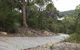 Great North Walk – Ku-ring-gai Chase National Park - thumb 0