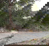 Great North Walk  Ku-ring-gai Chase National Park - Accommodation Fremantle