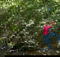 Iluka Rainforest Walking Track - Accommodation Fremantle