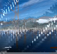 Lake Gordon - Lake Pedder - Strathgordon - Accommodation Fremantle