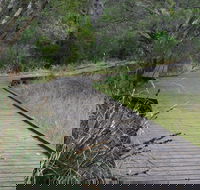 Leschenault Peninsula Conservation Park - Accommodation Fremantle