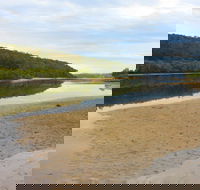 Mangrove Walk - Accommodation Fremantle
