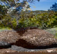 Marramarra Ridge to Smugglers Ridge walking track - Accommodation Fremantle