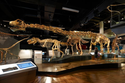 Melbourne Museum - Accommodation Fremantle 1