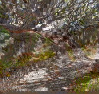 Middle Lagoon Walking Track - Accommodation Fremantle