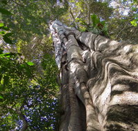 Moore Park Nature Reserve - Accommodation Fremantle